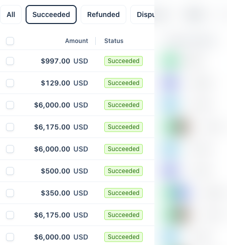Build team USD payment examples, card details blurred